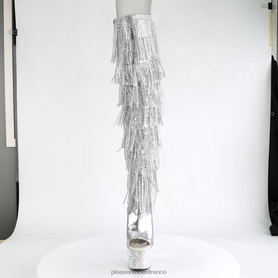 H4842258 bijoux-3019rsf-7 Pleaser Shoes argent